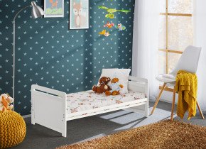 ASM Meble - Dječji krevetić Tymek Plus 60x120 + ležaj