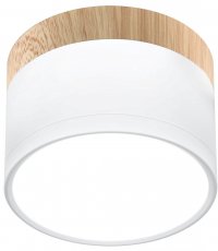 Stropna svjetiljka Tuba 9W LED 4000K