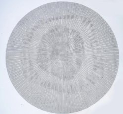 Tepih Radius Grey ⌀250 cm