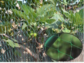 Zaštitna mreža od ptica - STK6434