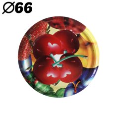 Poklopci fi66 - 1000P66CZE