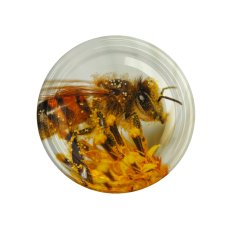 Poklopci fi82 - 1000CH82P25