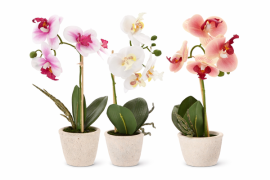 Umjetni orhidej - mix 3 boje 30 cm, pak. 25 kom - HID4849