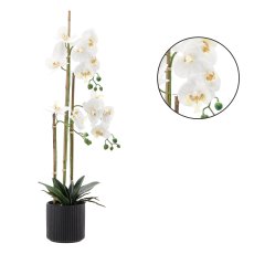 Umjetni orhidej - bijela, pak. 2 kom - HID4764