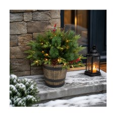 Chomik - Božićna LED-dekoracija – Aranžman u loncu 60 cm - DEL1581
