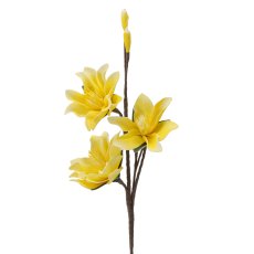 Dekorativna magnolija – 3 žuta cvijeta, 90 cm - TER2948