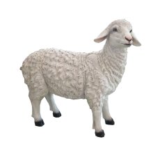 Božićna figura – Ovca - RAI6526