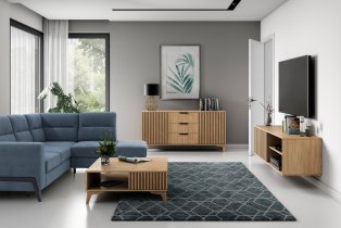 Eltap - loft - Dnevni boravak i spavaća soba Entsian