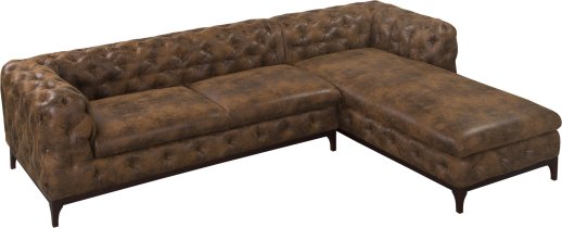 Gobi 03 (rjave noge)